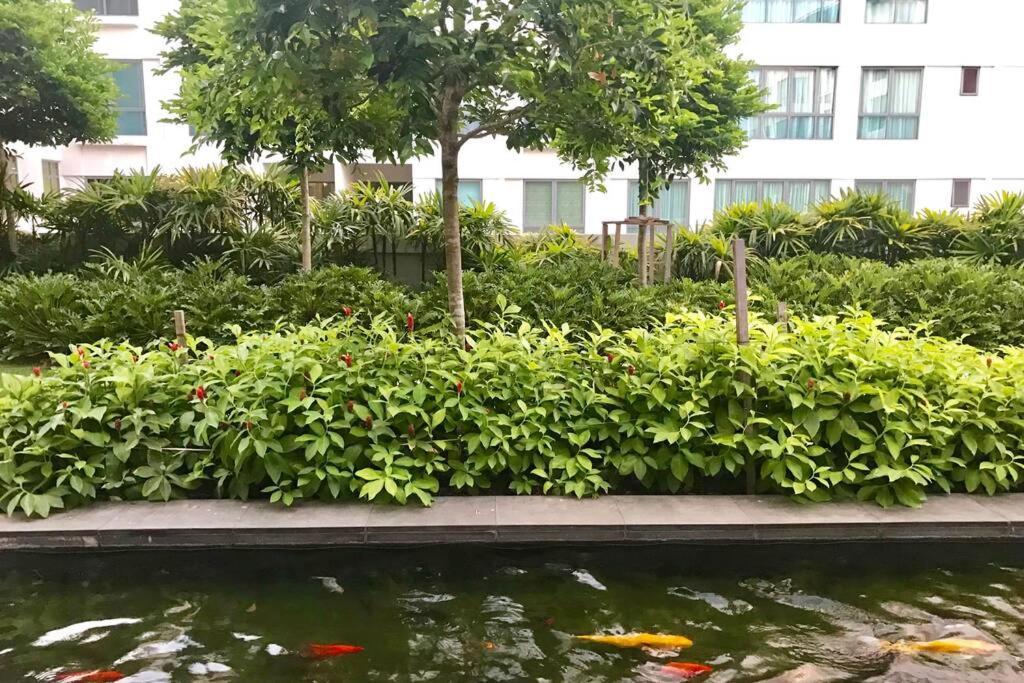 Condo In Imago Mall 亚庇最大商场imago楼里公寓 코타키나발루에서가장큰쇼핑센터아파트 Экстерьер фото